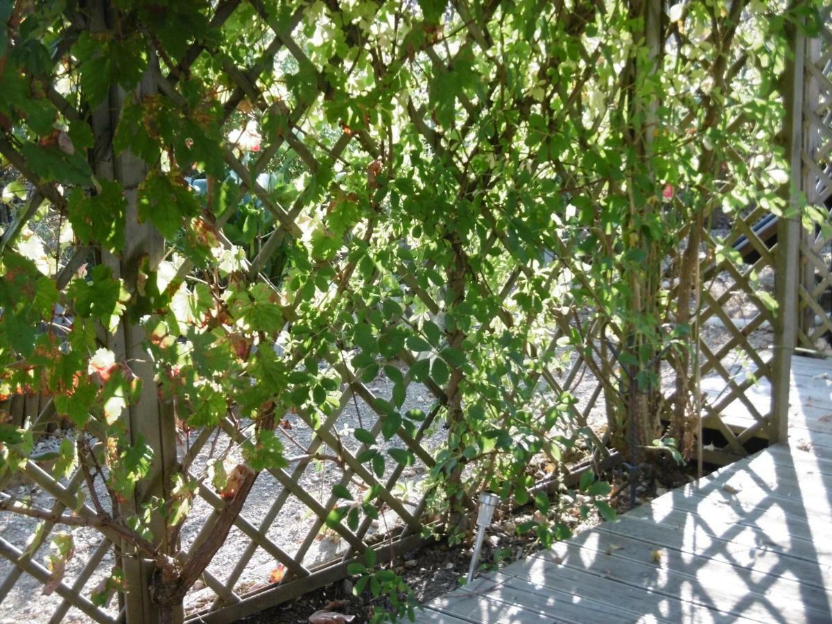 Le Qui Peche Bed & Breakfast